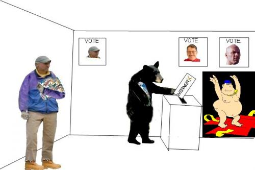 Voting