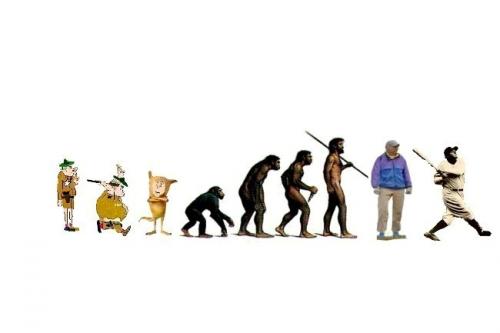 evolution-of-man