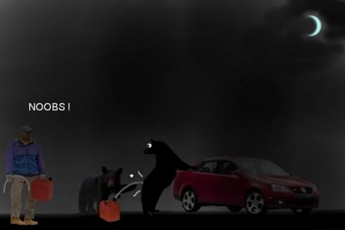 gas-thieves