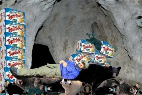 hibernation