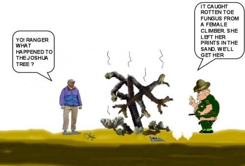 jtreetoe2