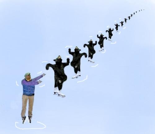 skatetoss